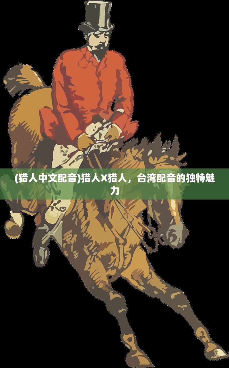 (猎人中文配音)猎人X猎人，台湾配音的独特魅力